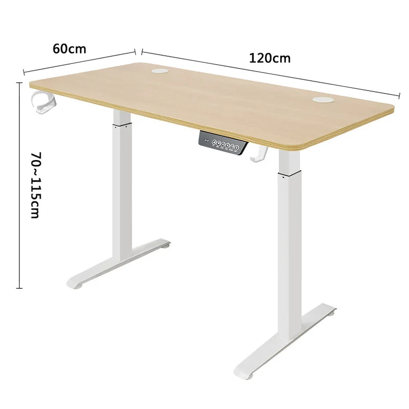 Dual Motor Standing Desk, Electric Height Adjustable Stand Up Desk, Electric Sit Stand Desk for Study Desk Smart Computer Desk